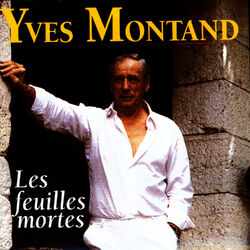 music cover