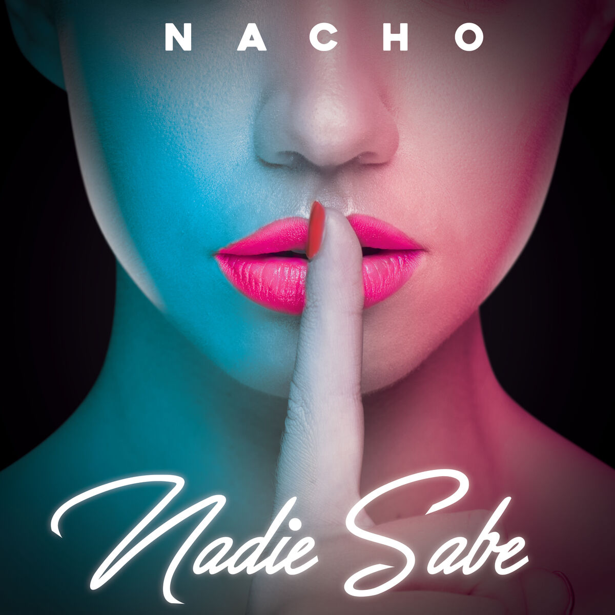 Album cover of Nadie Sabe