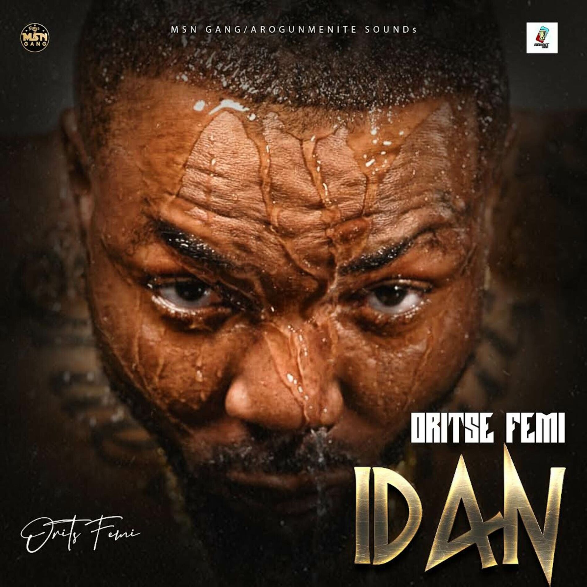 Album cover of IDAN