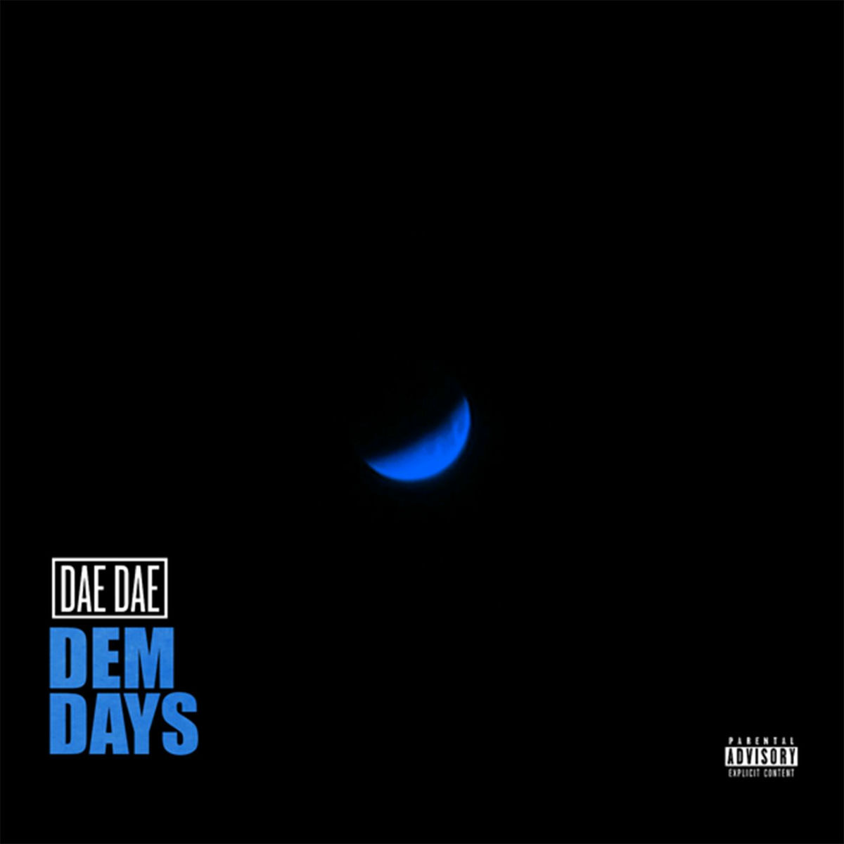 Album cover of Dem Days