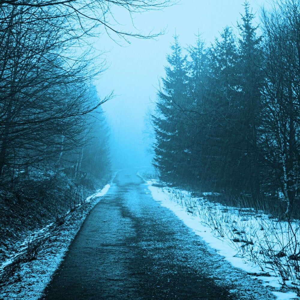 Picture of winter mist