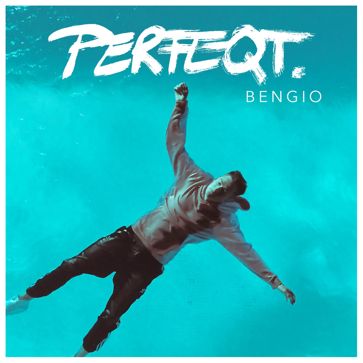 Album cover of Perfeqt