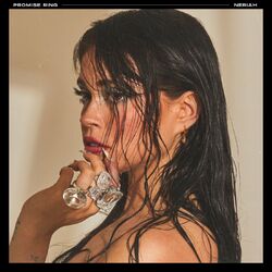 Cover of Promise Ring