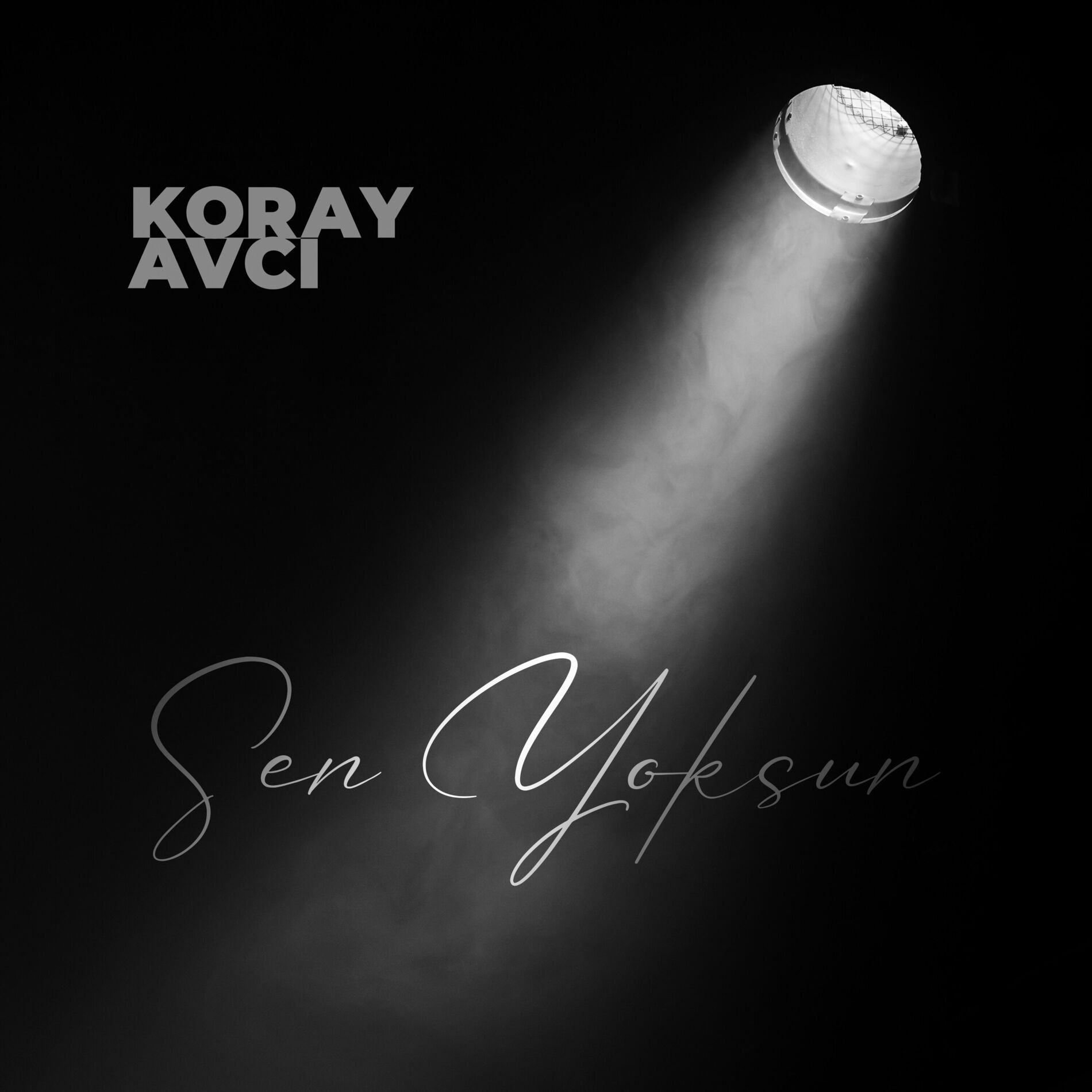 Album cover of Sen Yoksun