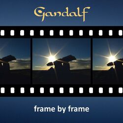 Cover of Frame by Frame