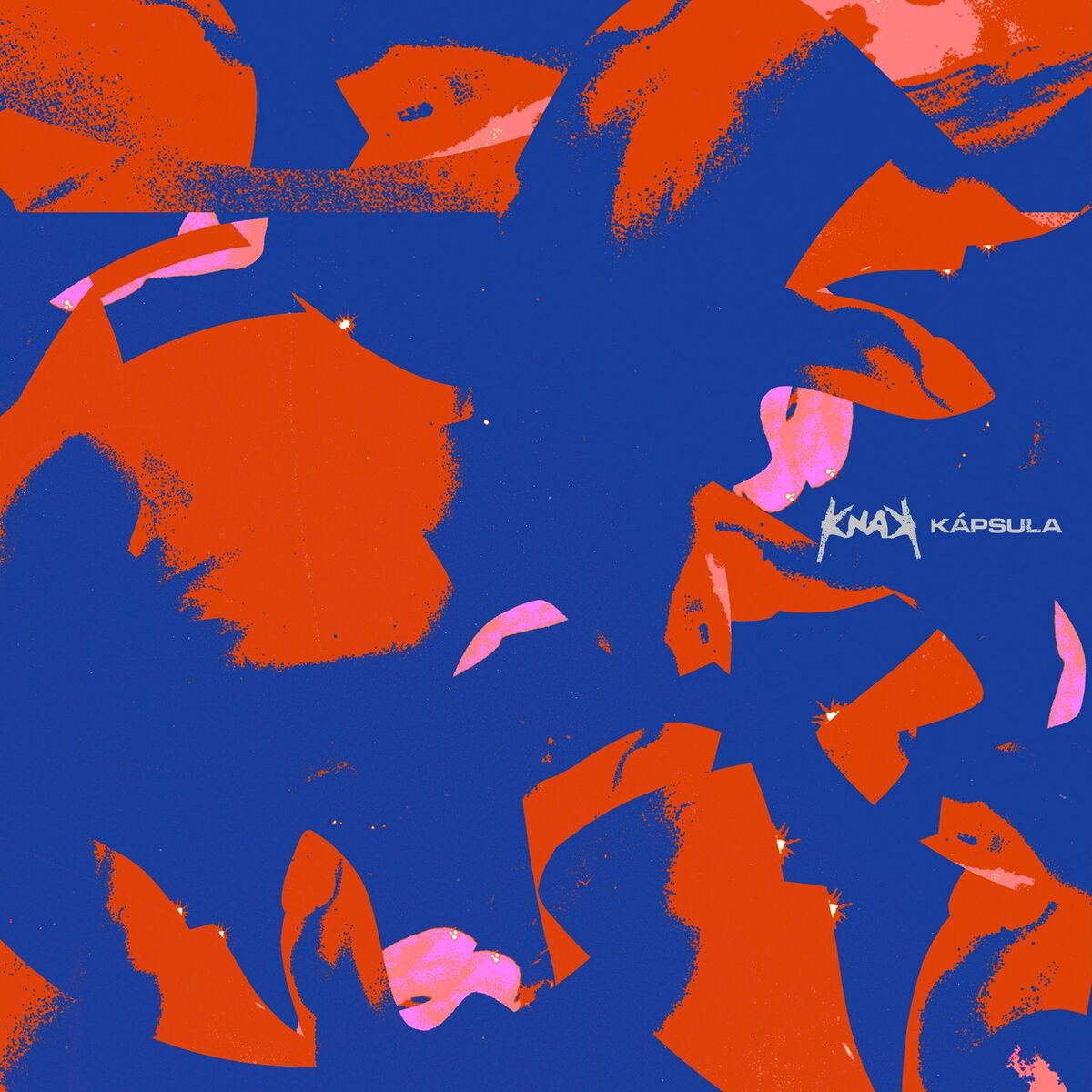 Album cover of Kápsula