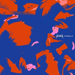 Cover of Kápsula