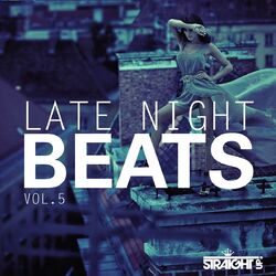 Cover of Late Night Beats Vol. 5