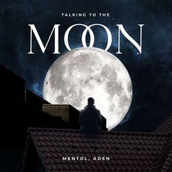 Cover of Talking To The Moon