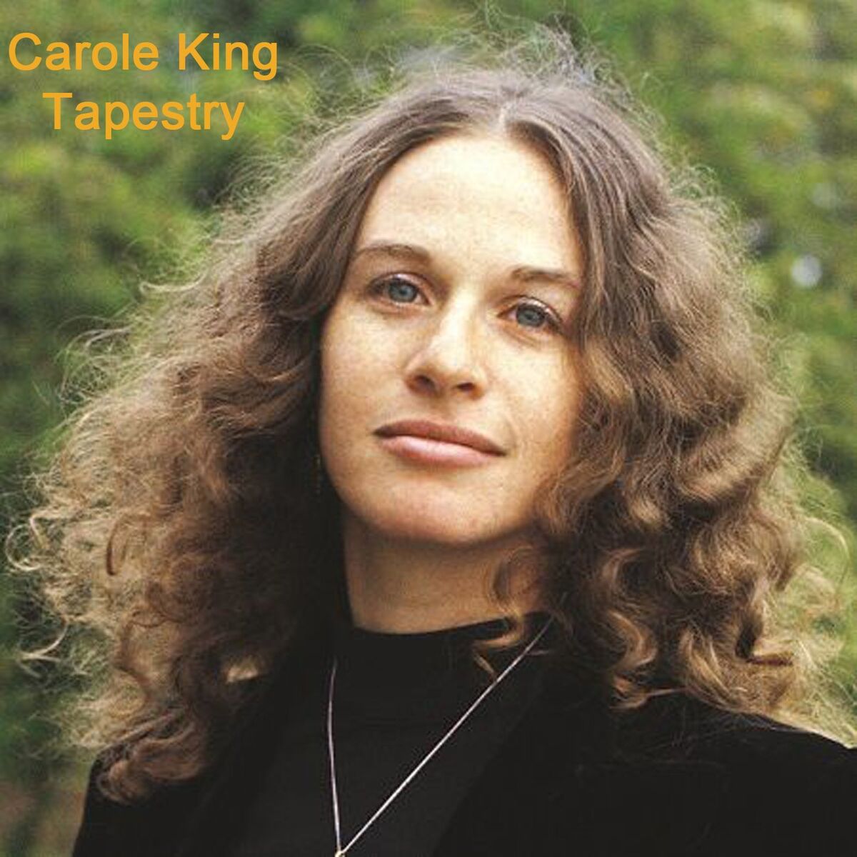 Album cover of Tapestry