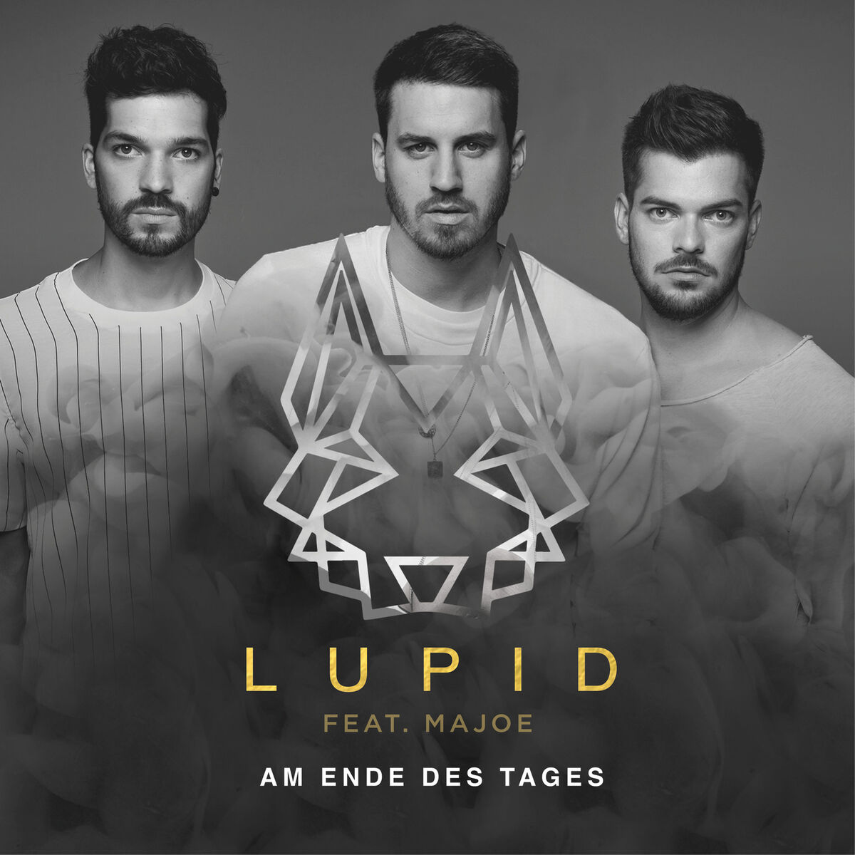 Album cover of Am Ende des Tages