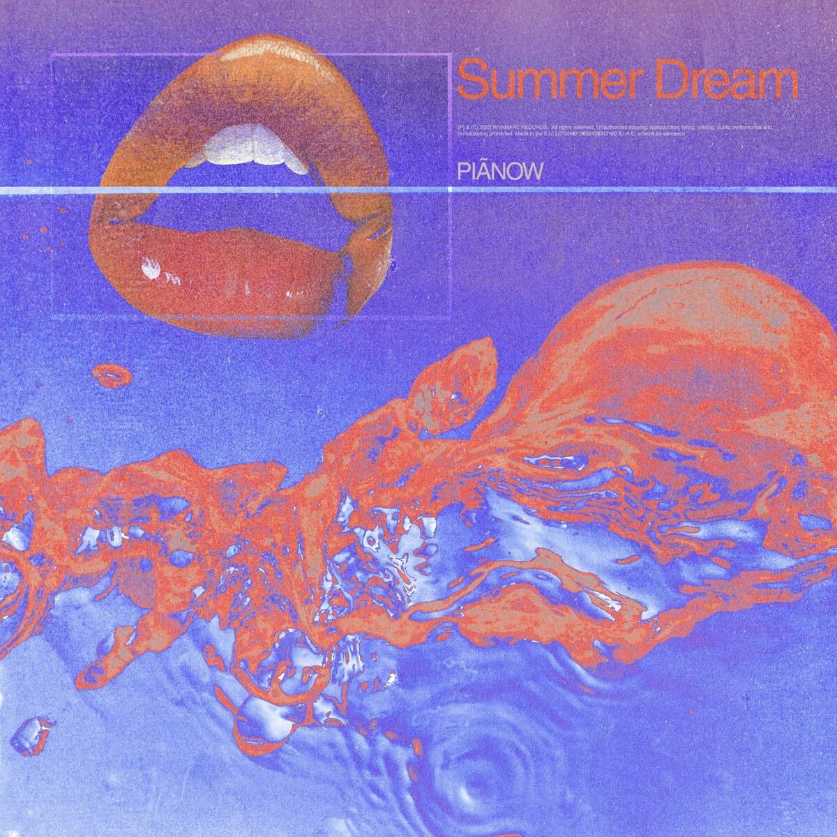 Album cover of summer dream