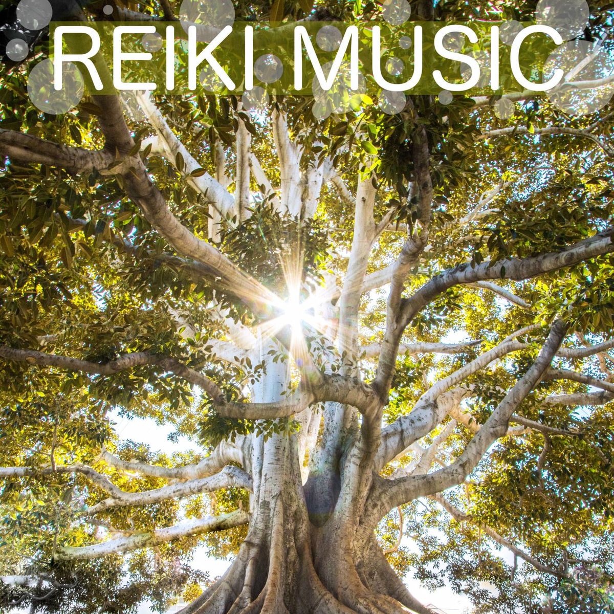 Album cover of Rebalancing