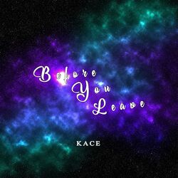 Cover of Before You Leave