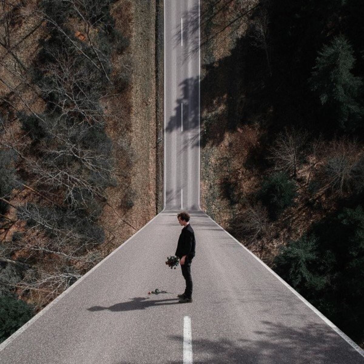 Album cover of Bruises