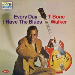 Cover of Every Day I Have the Blues