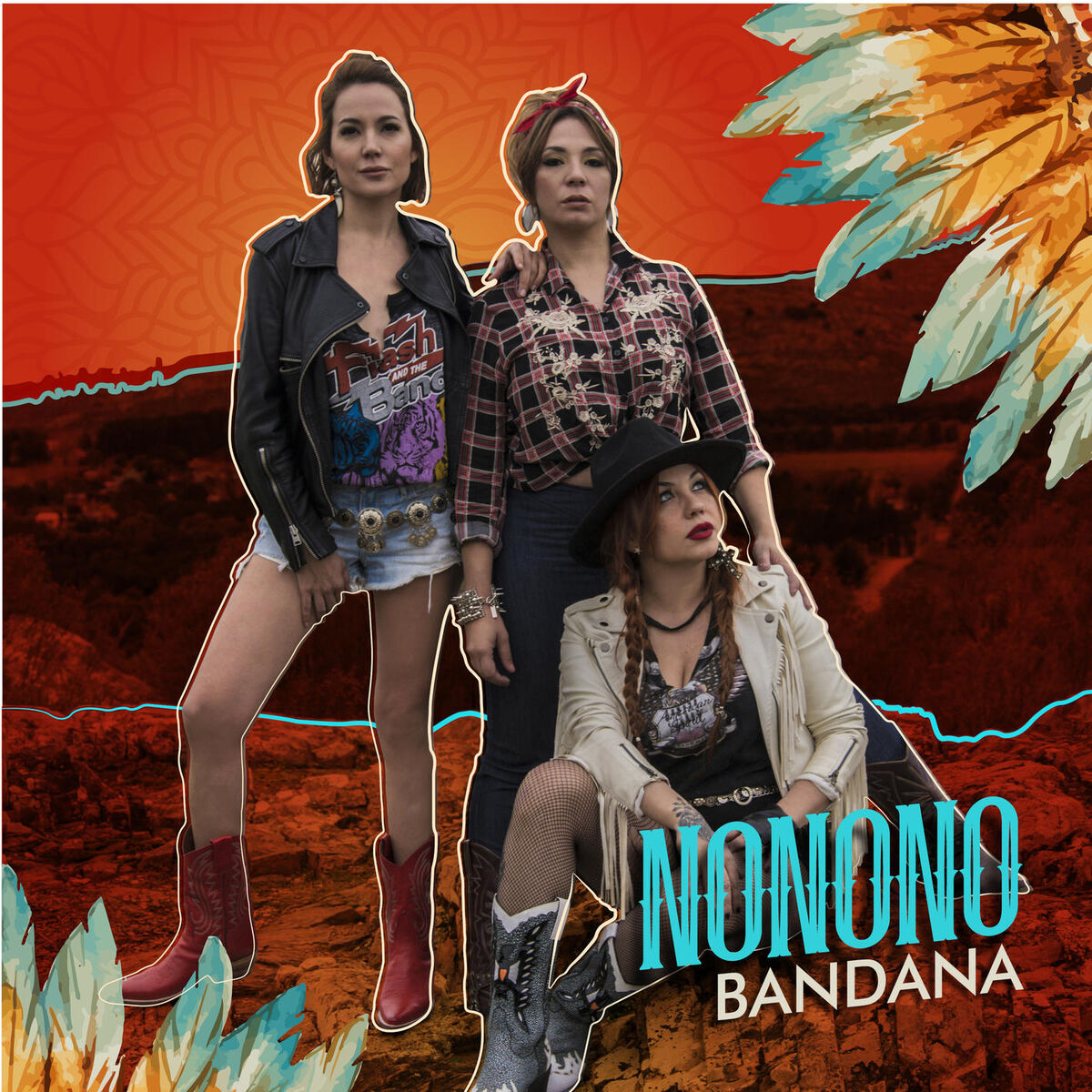 Album cover of No No No