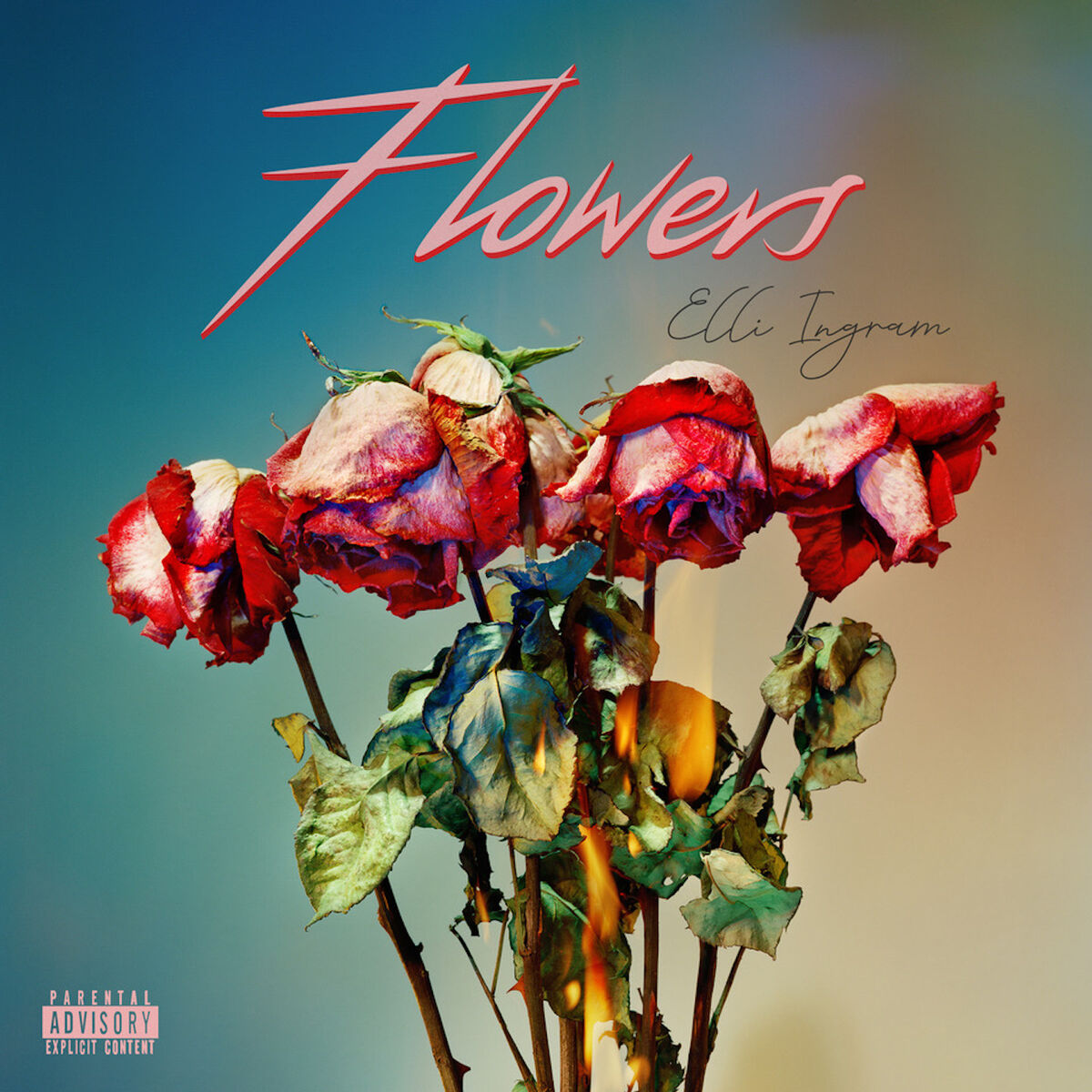Album cover of Flowers