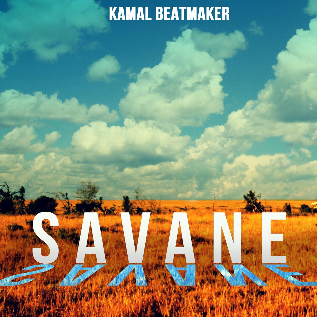 Album cover of Savane Afro Trap (Rap Instrumentals)