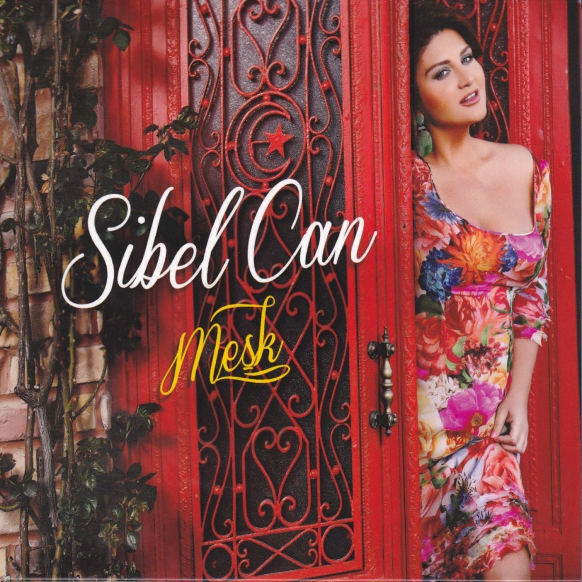 Album cover of Meşk