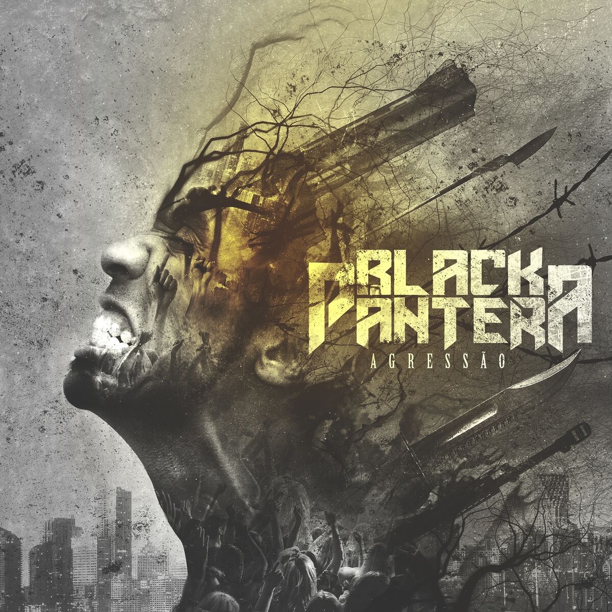 Album cover of Agressão