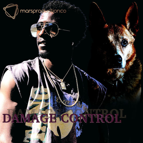 Damage Control