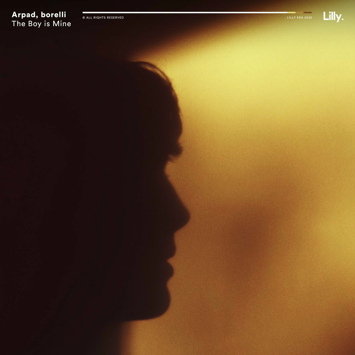 Album cover of The Boy is Mine