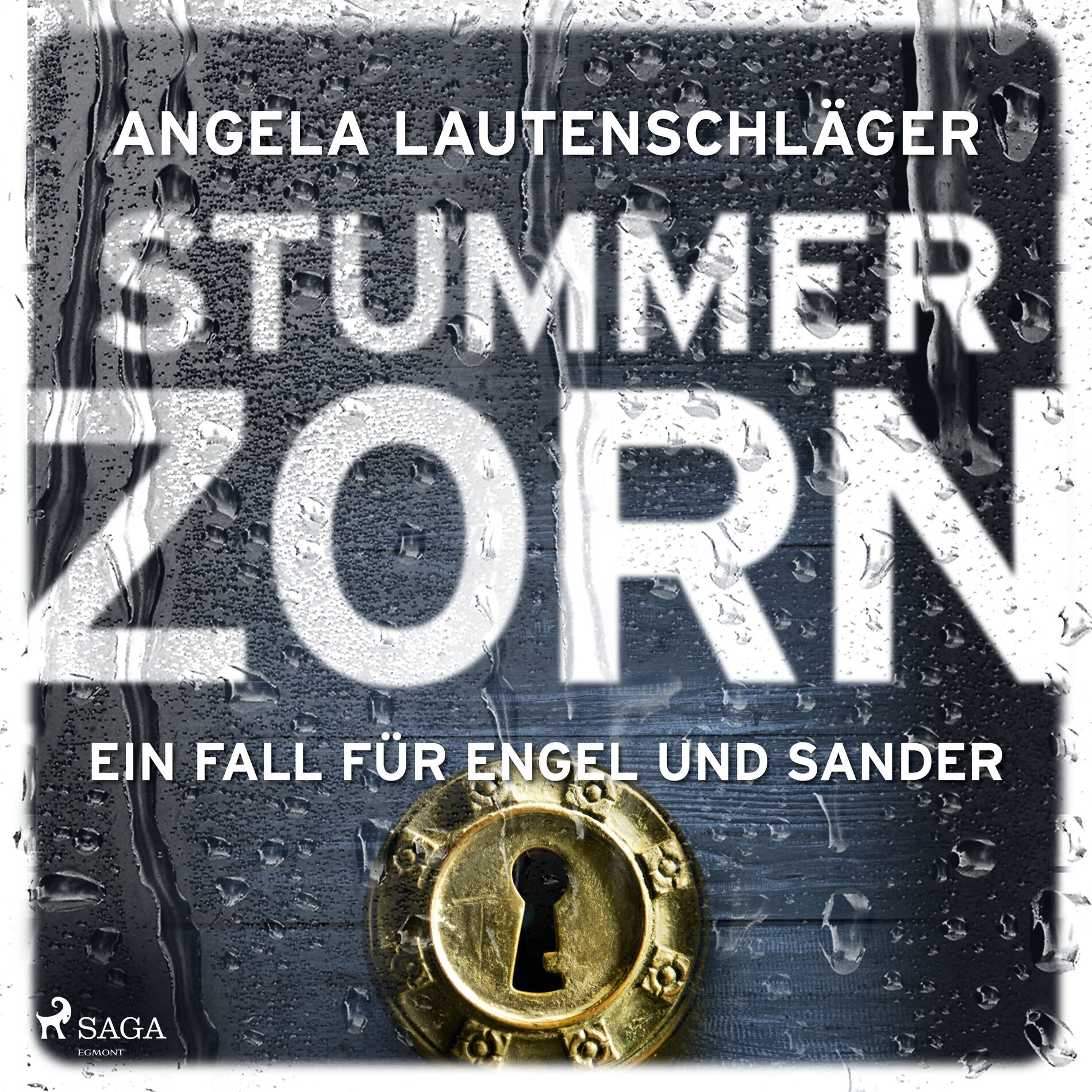 Album cover of Stummer Zorn (Ein Fall für Engel und Sander, Band 7)