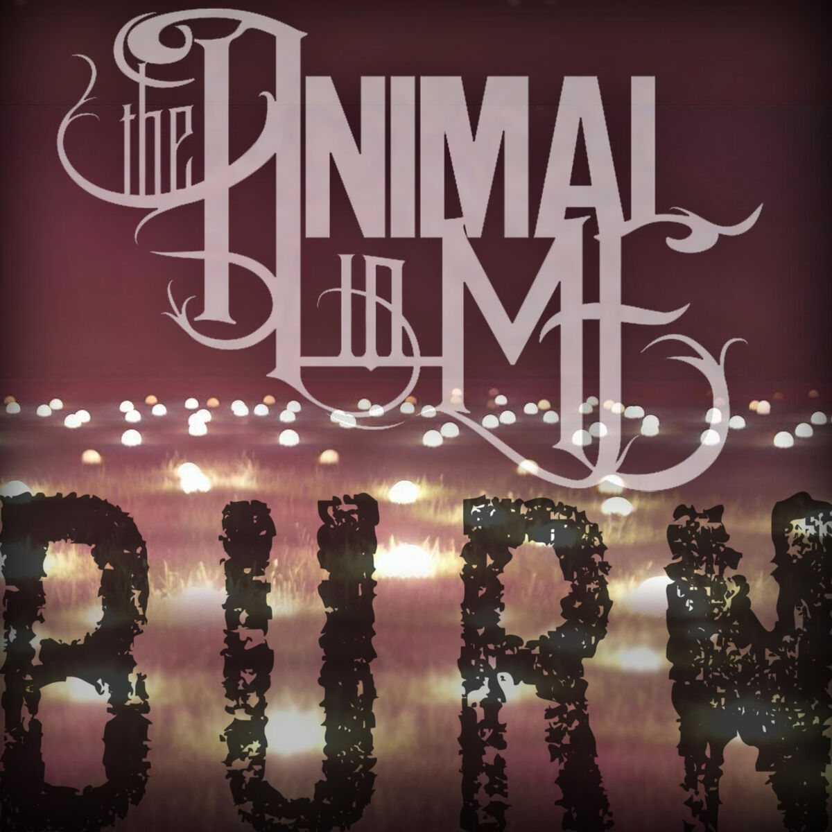 Album cover of Burn