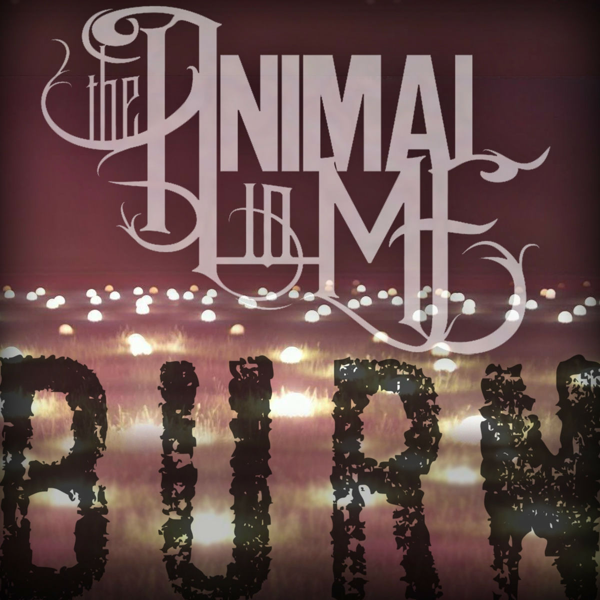 Album cover of Burn