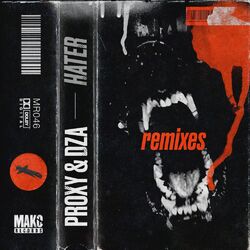 Cover of Hater (Remixes)