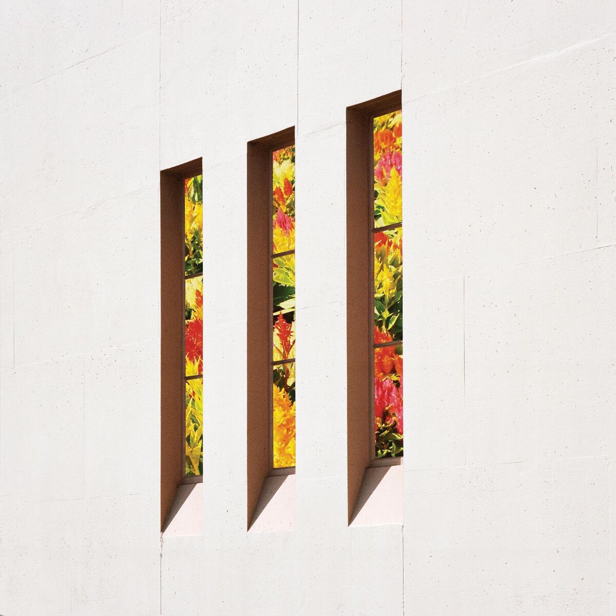 Album cover of Looking for Knives