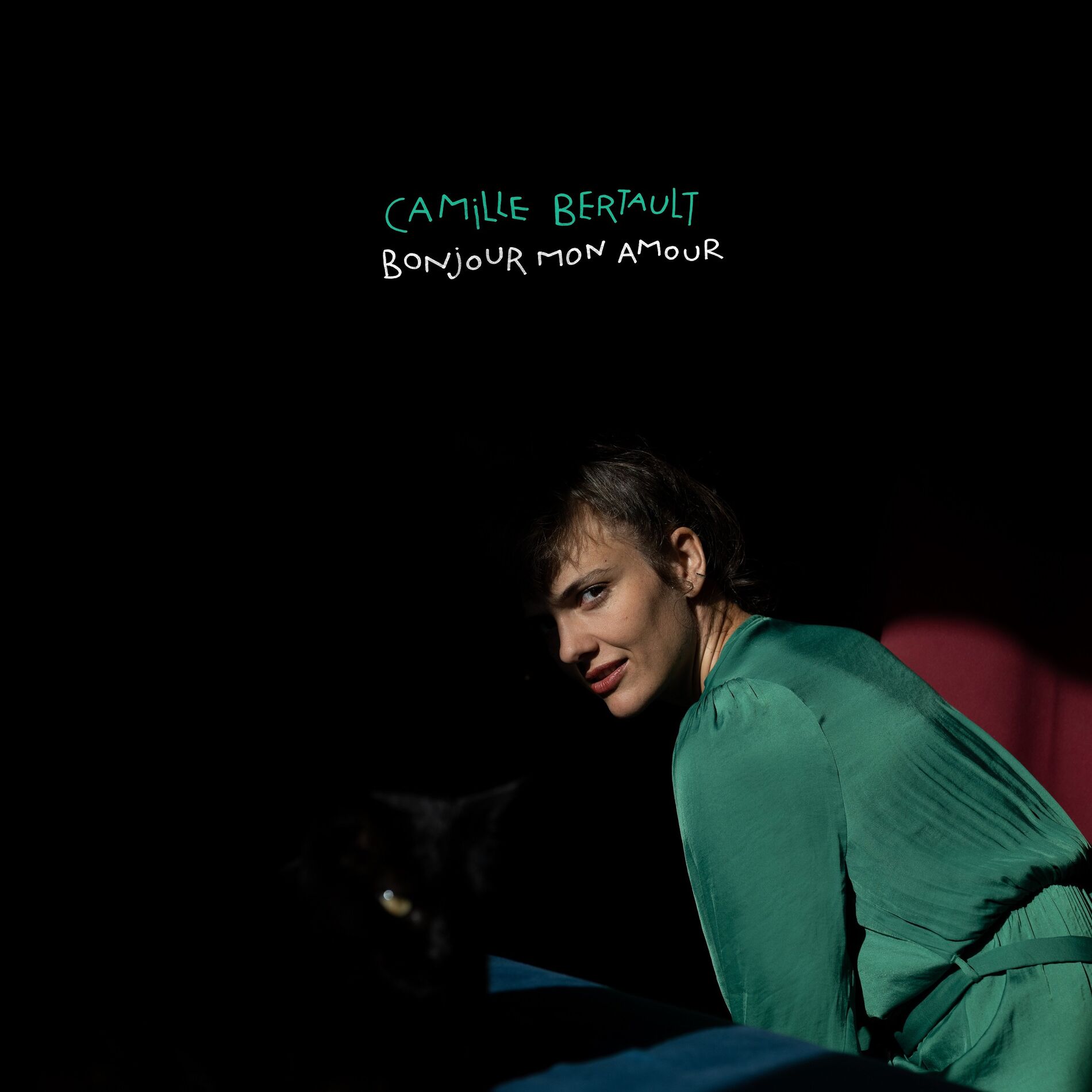 Album cover of Bonjour mon amour