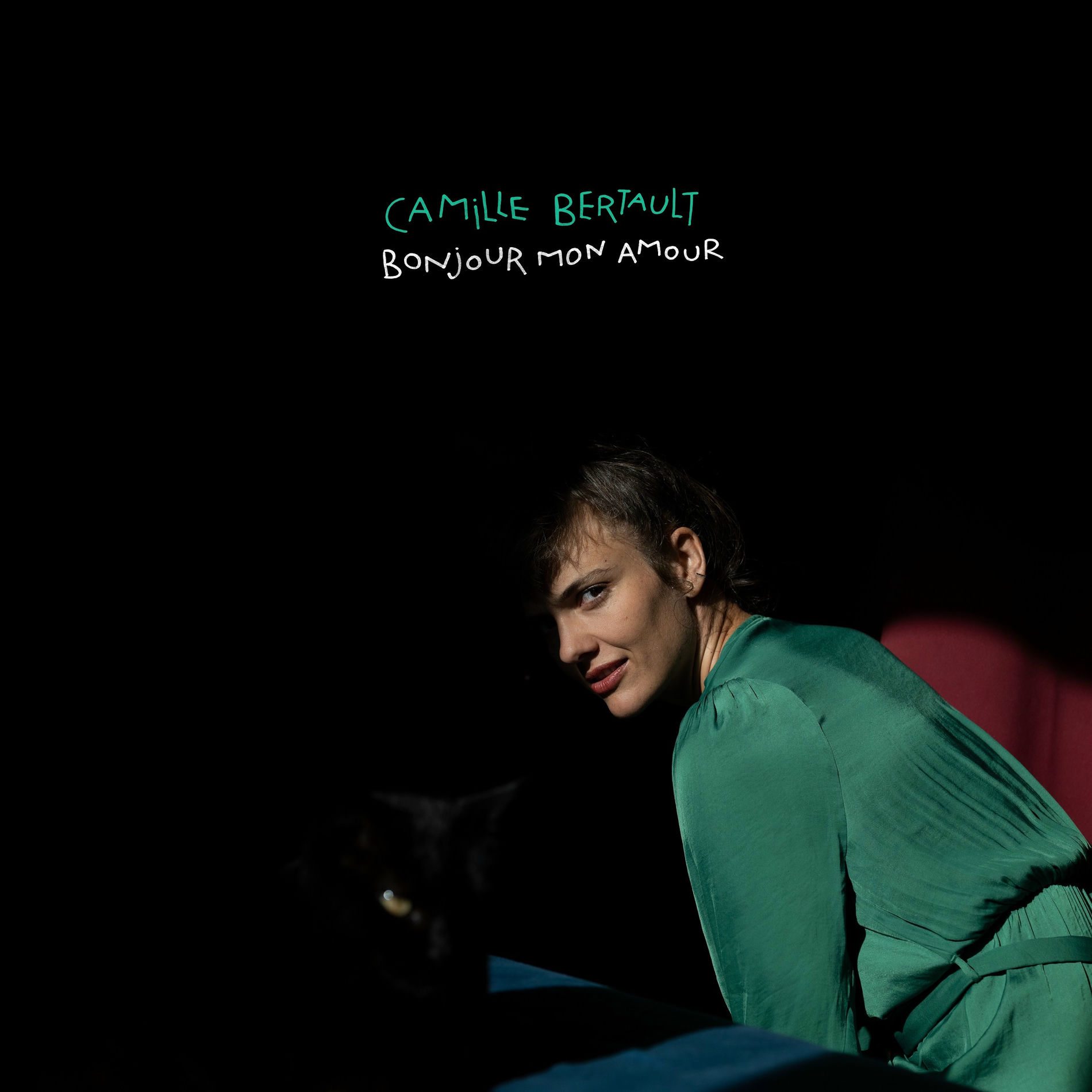 Album cover of Bonjour mon amour