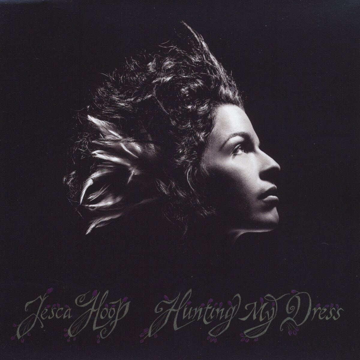 Album cover of Murder of Birds