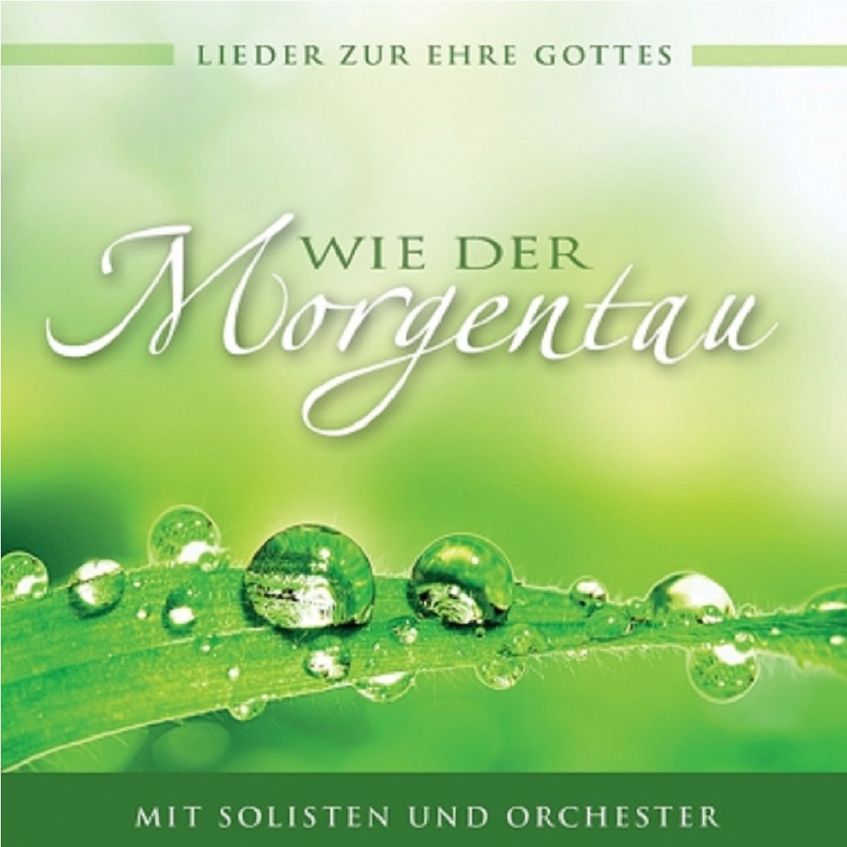 Album cover of Du bist mein Komponist