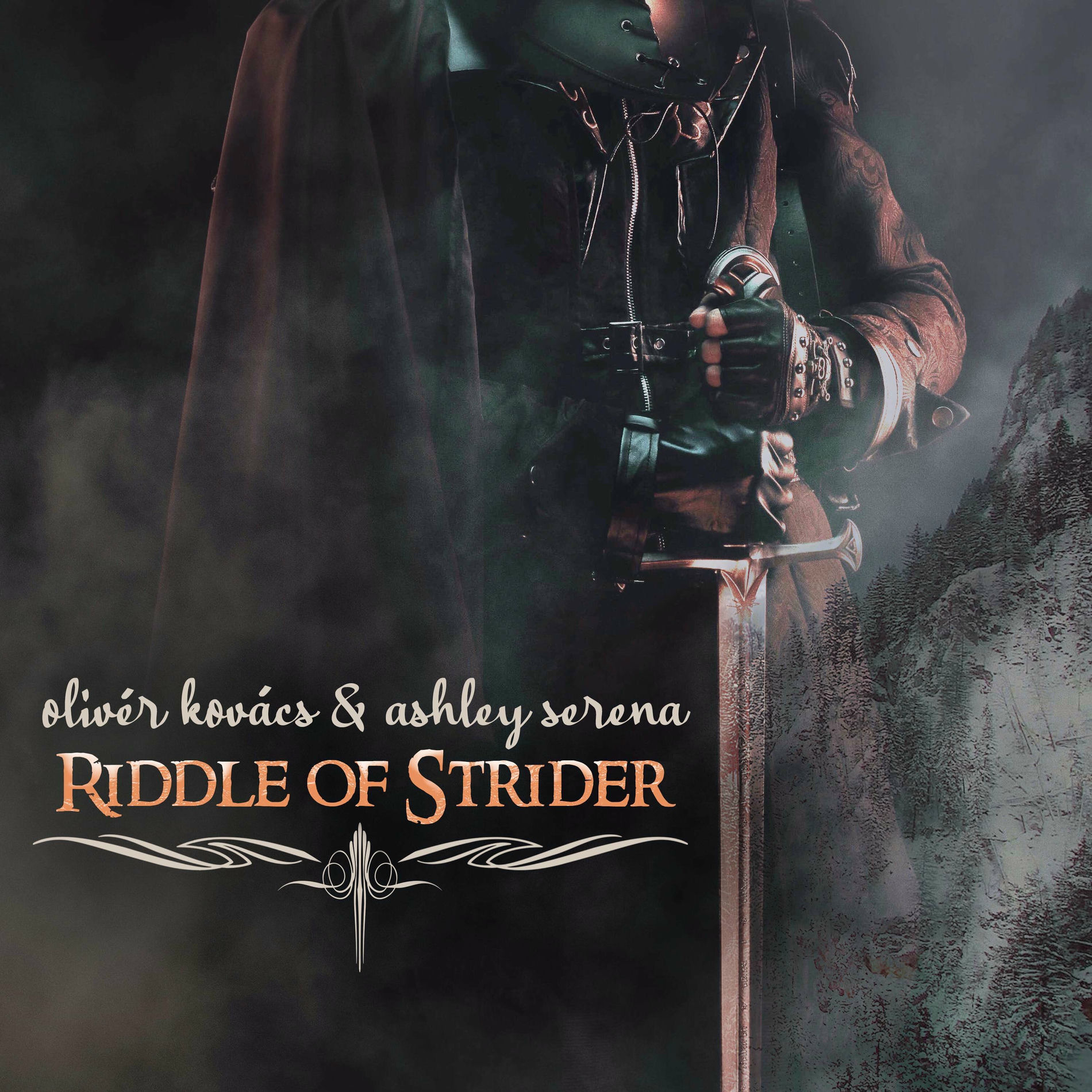 Album cover of Riddle of Strider