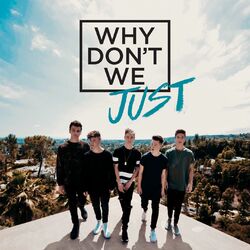 Cover of Why Don't We Just