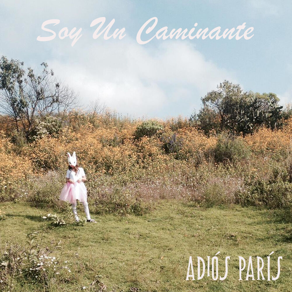 Picture of Soy Un Caminante