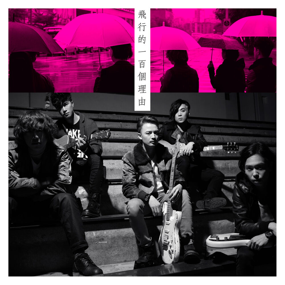 Picture of 飛行的100個理由