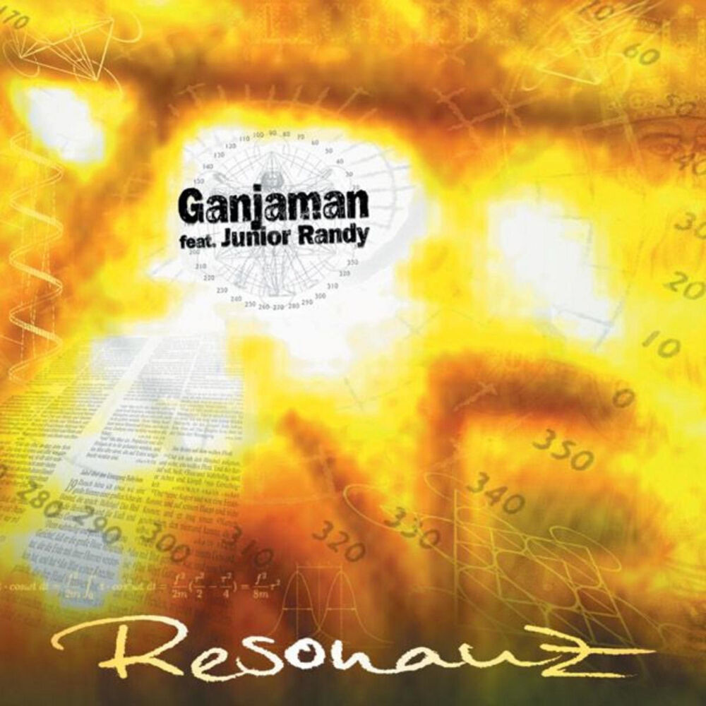 Picture of Resonanz