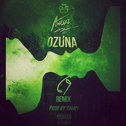 Cover of 69 (Remix) [feat. Ozuna]
