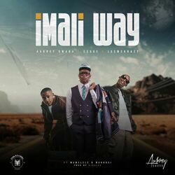 Cover of Imali Way