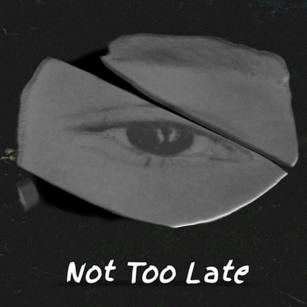 Picture of Not Too Late