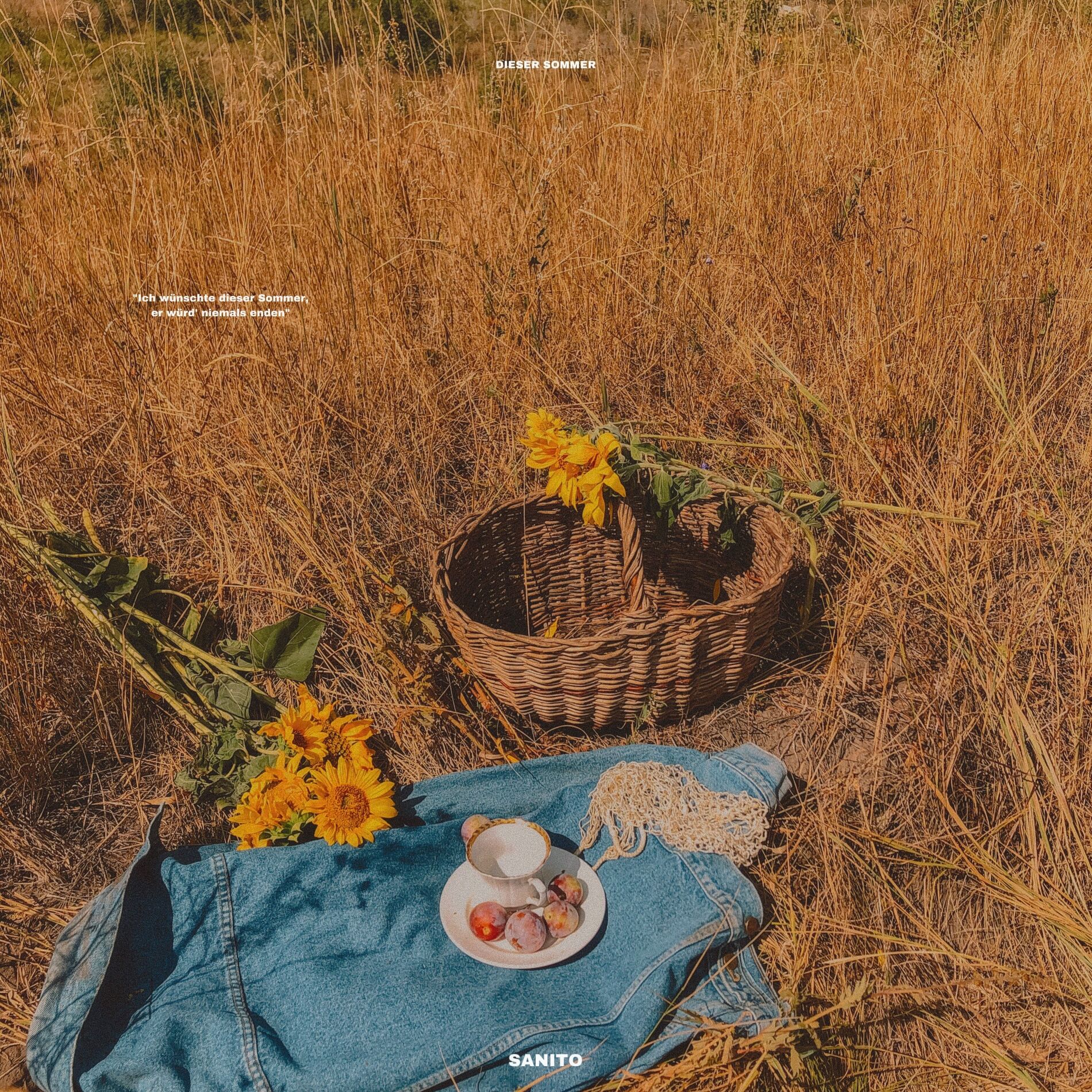 Album cover of Dieser Sommer