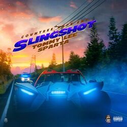 Cover of Slingshot