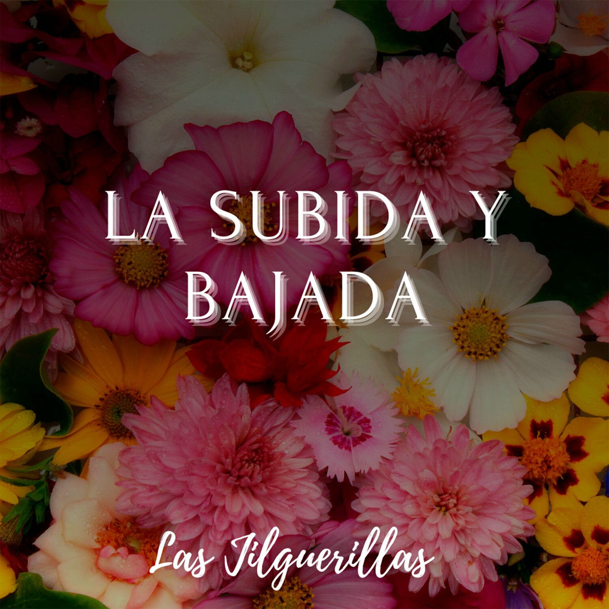 Album cover of La Subida y la Bajada