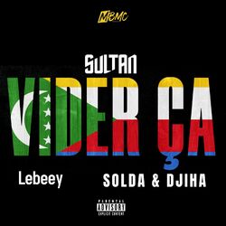 Cover of Vider ça