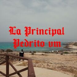 Cover of La principal