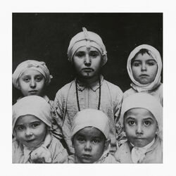 Cover of Ellis